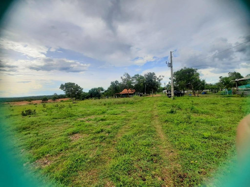 Imagem 9 de 14 de Sítio 25 Hectares - 0034