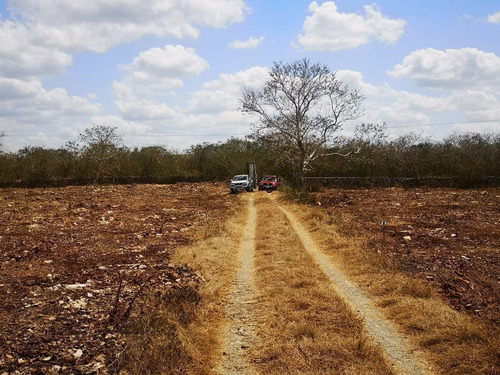 Imagen 10 de 20 de Lotes Residenciales De Inversión En Habinta Cerca De Chicxu
