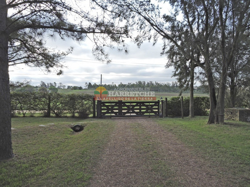 Chacra En Venta Atlántida, Espectacular 4 Dormitorios, Piscina, Barbacoa