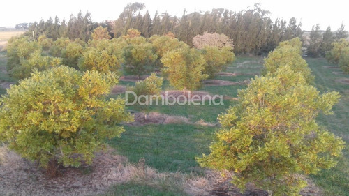 Imagen 2 de 25 de Terreno En Venta O Permuta Ubicado En Punta Indio, Resto De La Provincia