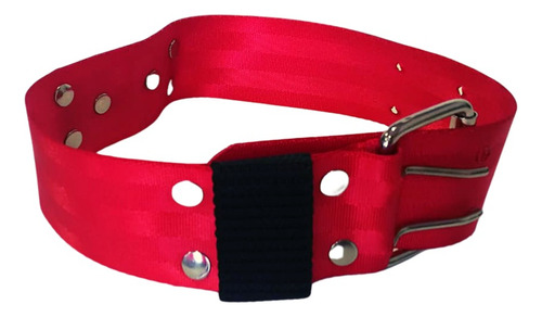 Collar Ancho Para Perro