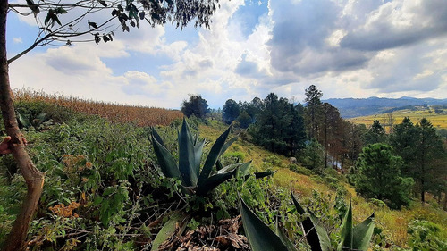 Hermoso Rancho De 10 Hectáreas Con Casa