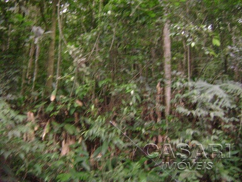 Imagem 7 de 8 de Terreno Residencial À Venda, Represa, Ribeirão Pires - Te3946. - Te3946