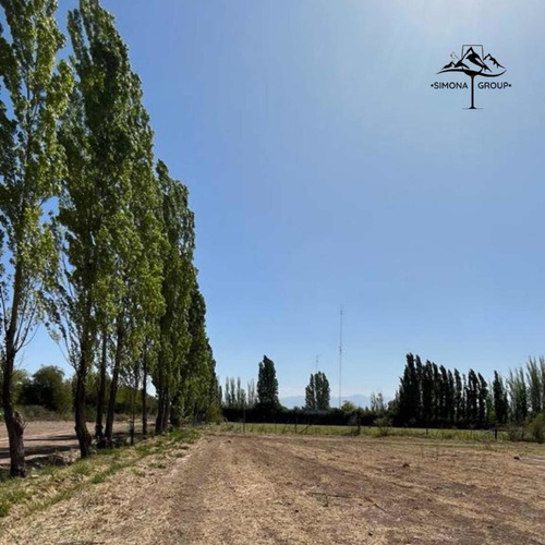 Imagen 3 de 9 de Lotes Ubicados En Maipu Lulunta , Mendoza.