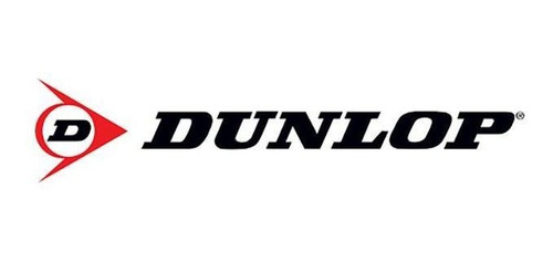 Pneu Dunlop Aro 17 205/45r17 Direzza Dz-102 88w