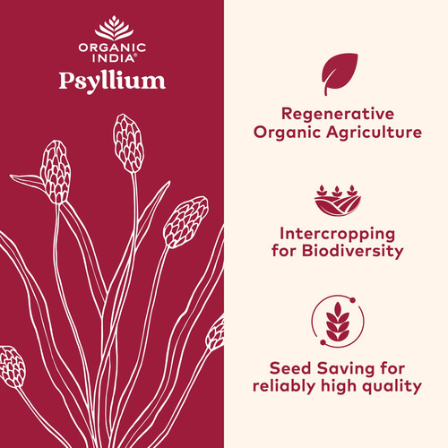 Suplemento Orgânico India Psyllium Herbal Powder 340ml - 2 P