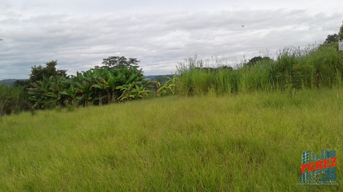 Imagem 10 de 20 de Chácaras_sítios_fazendas Para Venda - 13650.3925