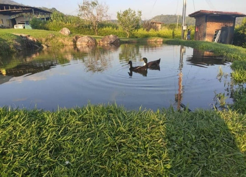 Imagen 4 de 17 de Venta Espectacular Finca San Cristobal, Estado Tachira