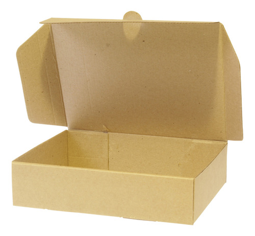 50 Cajas Cartón Micro Corrugado Armable 22x17x5 Para S