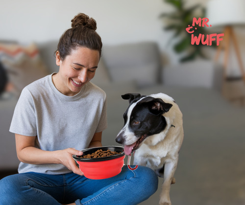Plato Comedero Perro Plegable Interactivo Grande Mr Wuff Color Rojo