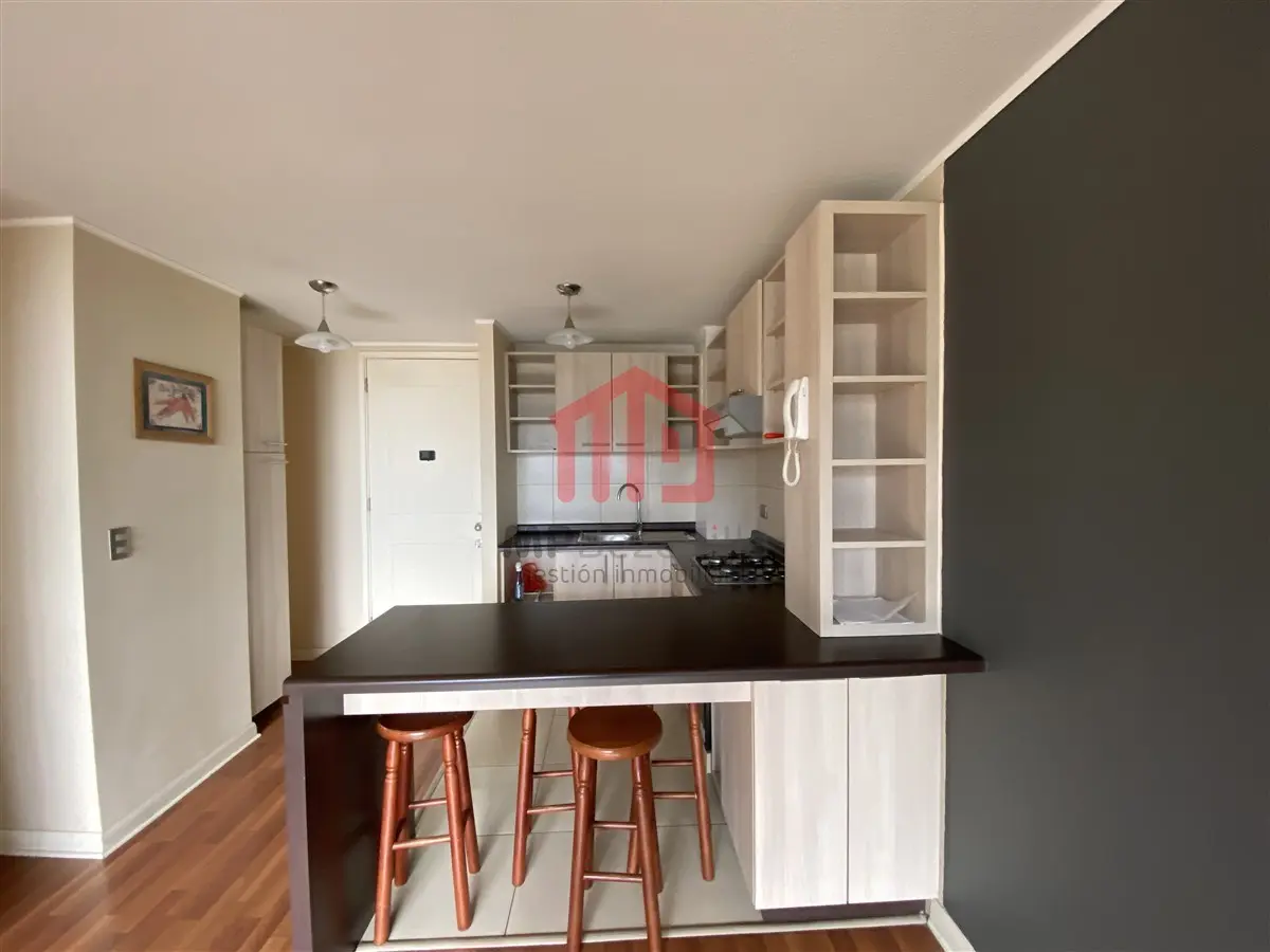 Imagen 5 de 14 de Depto En Venta Gómez Carreño 2d2b