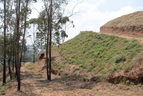 Vendo Terreno En Carrizal