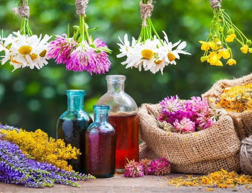 Imagen 1 de 7 de Flores De Bach (enviamos) Incluye Terapia