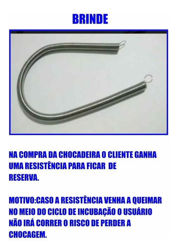 Chocadeira Automatica 30 A 35 Ovos Promoção + Brinde