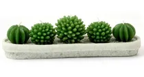 Comprar Velas Cactus Deco Decorativas En Maceta X 5 Cactus! 27x7