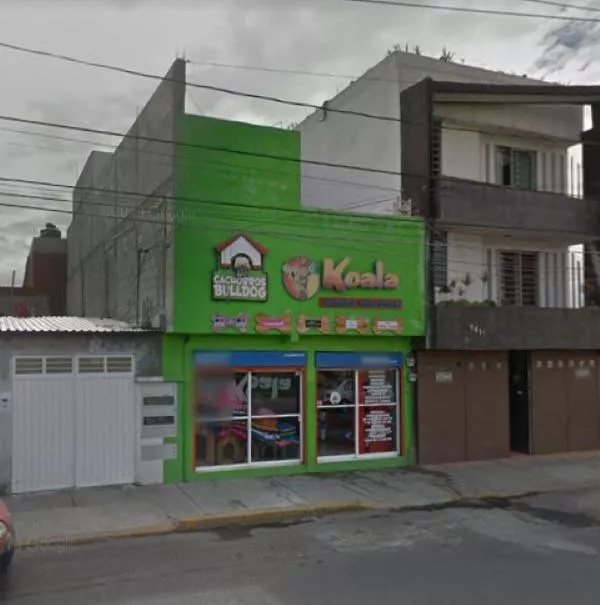 Casa Con Local Comercial En Puebla