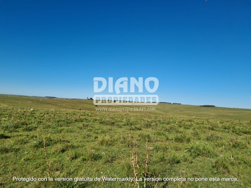 Imagen 5 de 14 de Prioridad Forestal - Buen Campo Ganadero