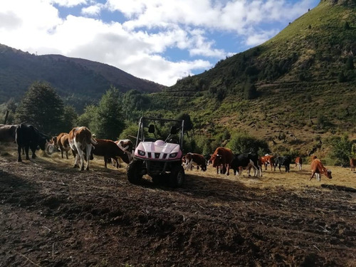 Campo Loncotriuque Con Cabaña Y Galpon. Loteado Con 66 Parc.