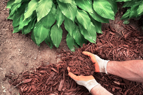 Jardinería Integral A Domicilio Y Empresarial