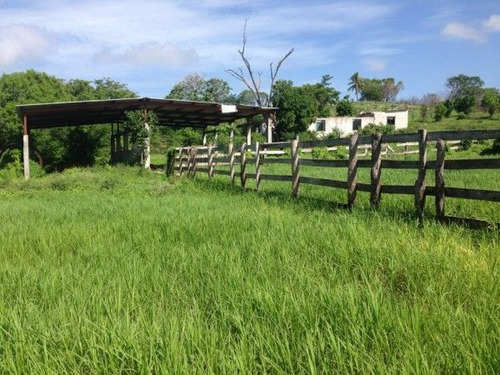 Vendo Rancho En Champoton, Campeche