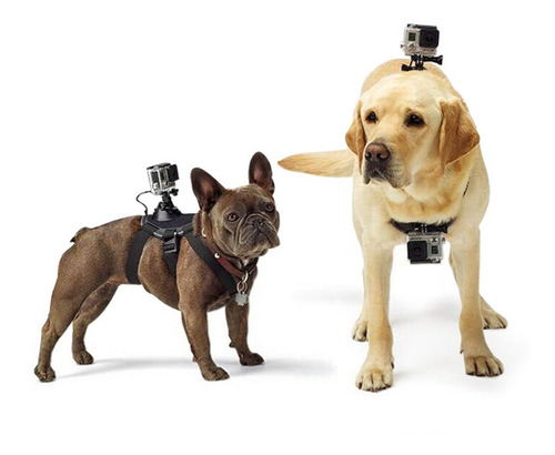 Arnés De Perro Doble Compatible Gopro + 2 Adaptadores