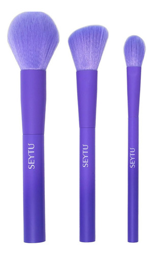 Set De Brochas Para Rostro Seytu