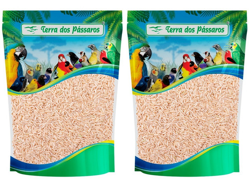 Kit 2 Unidades - Semente De Arroz Integral Longo Puro - 100g
