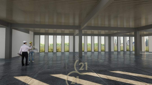 Imagen 8 de 8 de Renta Edificio Al Norte, Nuevo.