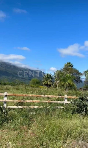 Terreno En Venta En Carretera Hacia Rayones