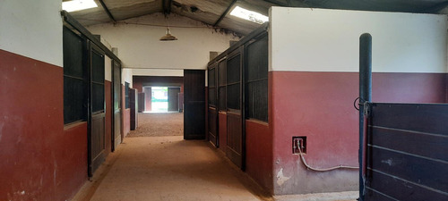 Venta Campo Haras San Andres De Giles