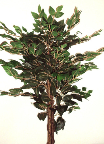 Imagen 1 de 10 de Plantas De Interior Artificiales - Ficus 120 Cm Tronco Real