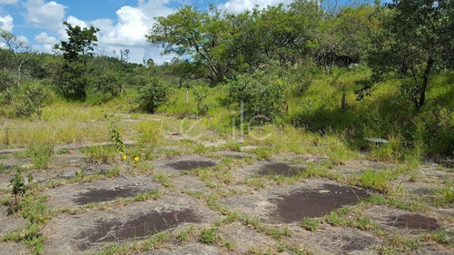 Imagem 6 de 10 de Chácara À Venda Em Joaquim Egídio - Ch005289