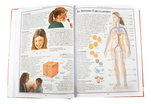 Mi Gran Enciclopedia Primaria Educativa De Sacramento Nieto Editorial Lexus Tapa Dura En Español 2001