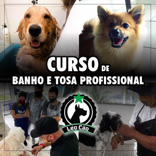 Imagem 1 de 1 de Dez Aulas Período Integral Curso De Banho E Tosa Aulas 100%p