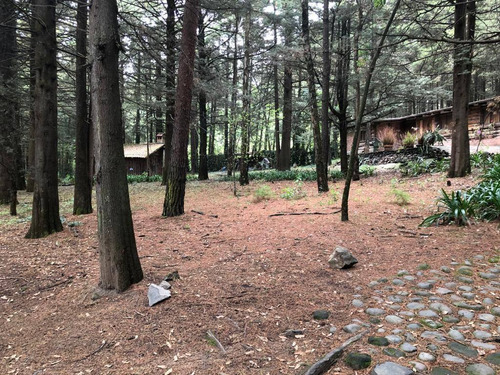 Imagen 3 de 10 de Amplio Terreno En Hacienda Jajalpa