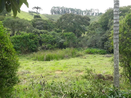 Chácara No Sul De Minas , Cidade De Seritinga, Apenas 3,5 Klm De Terra , Lago , Riacho. - 508