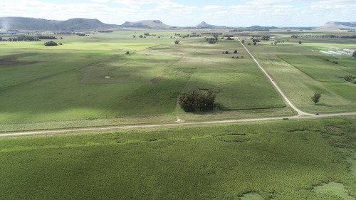 Imagen 13 de 30 de Quinta De 8 Has. A 1.800 Mts Ruta 226 - 100 % Agrícola