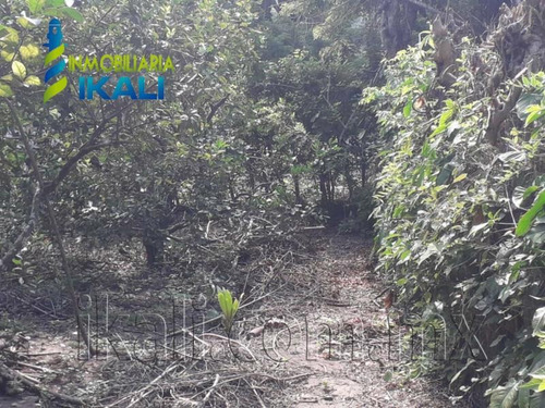 Imagen 5 de 9 de Terreno En Venta Unión Kilómetro 31