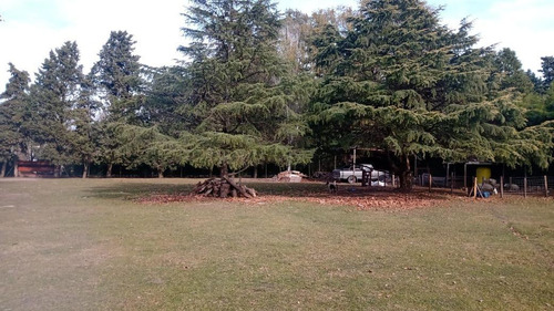 Imagen 5 de 21 de Casa - Parada Robles