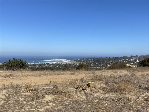 Sitio En Venta En Zapallar