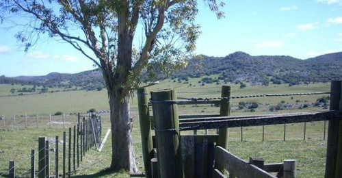 Campo En Cerros Del Penitente Ref. 2509