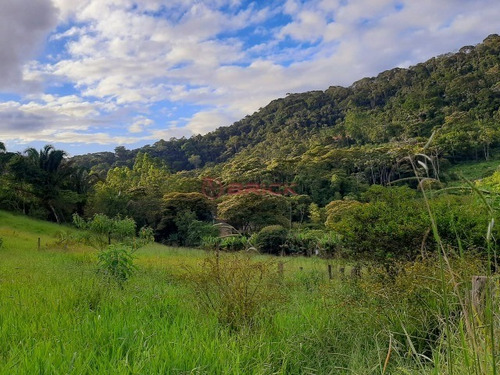 Imagem 1 de 16 de Sítio Com 27 Mil M² Em Sebastiana. - St00195 - 69410699