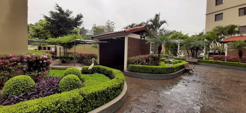 Imagem 14 de 19 de Apartamento Em Vila Vivaldi, São Bernardo Do Campo/sp De 68m² 3 Quartos À Venda Por R$ 370.000,00 - Ap1262908-s