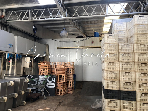 Imagen 2 de 8 de En Venta Local Comercial 402 M² Con Depósito Ingreso Apto Para Camiones - Oficina Privada - Moron