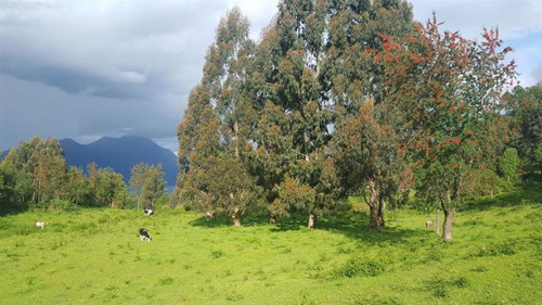 Parcela En Venta En Lago Ranco