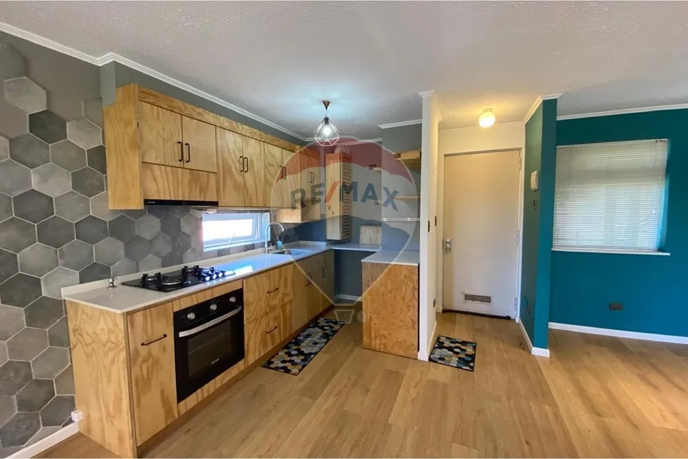 Gran Departamento En General Lagos