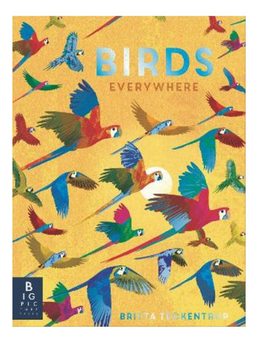 Birds Everywhere - Camilla De La Bedoyere. Eb06