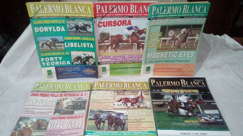 Revistas Palermo Blanca Y Revistas Palermo Años 2005 - 2011 