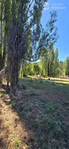 Parcela De 5000mts2 En Venta En Sector Los Junquillos