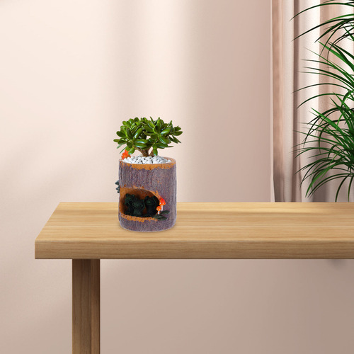 Maceta Con Forma De Sedum Con Forma De Flor Verde, Maceta Pa